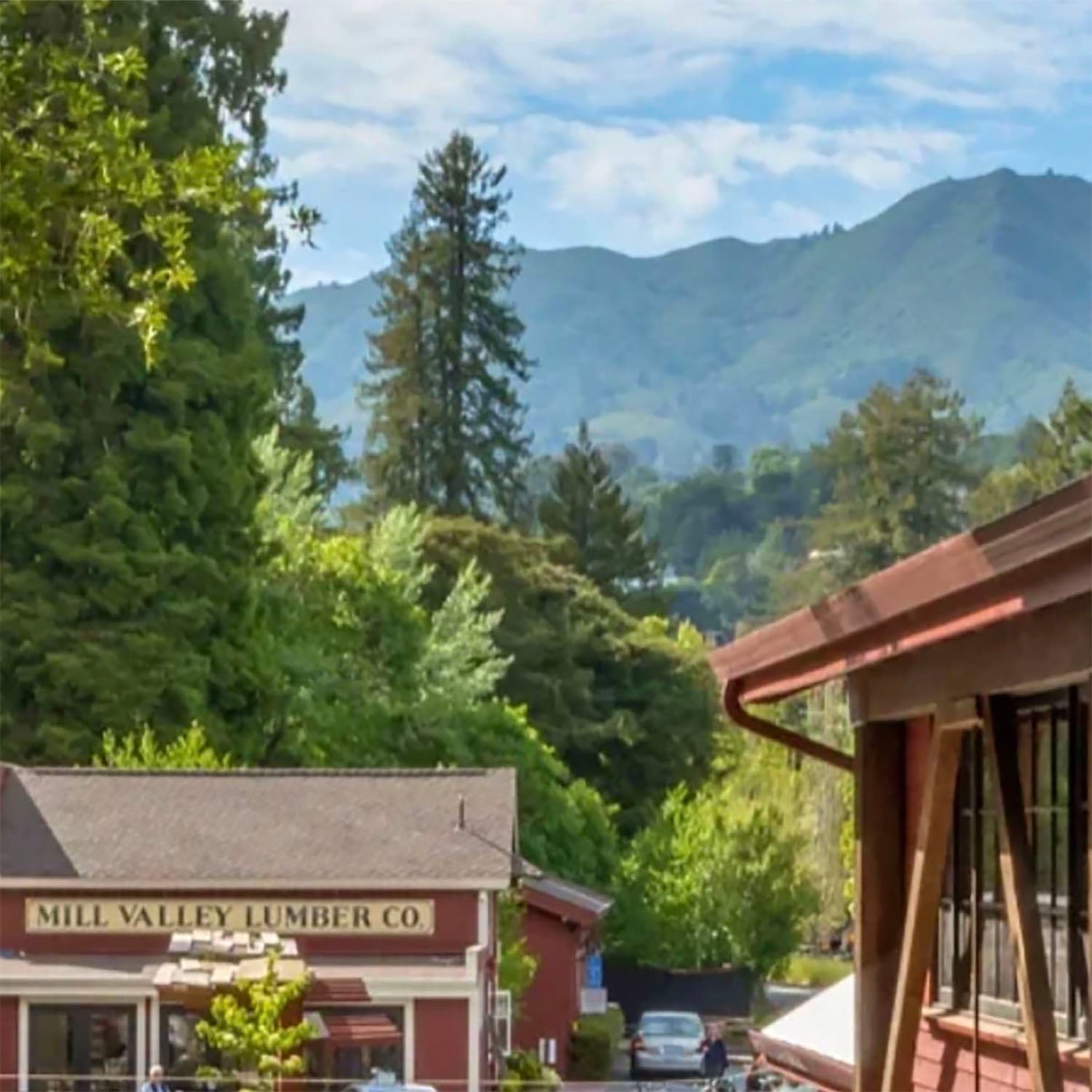 Visit Mill Valley