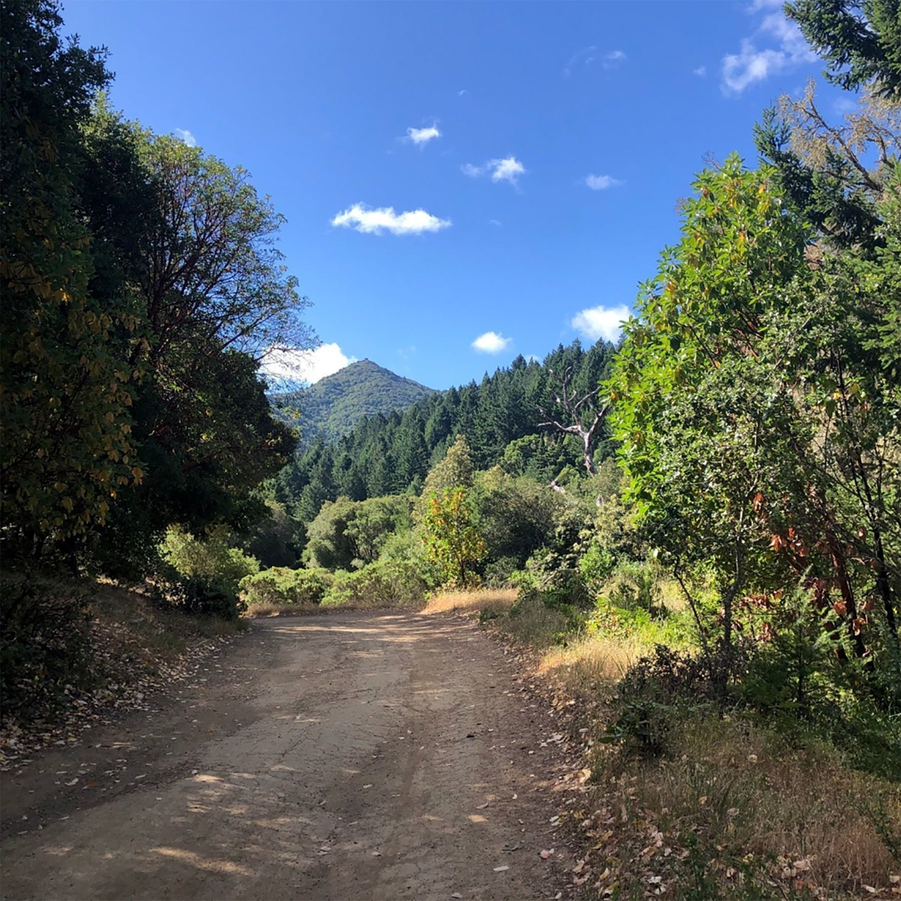 Shine Bright On Your Summer Hikes