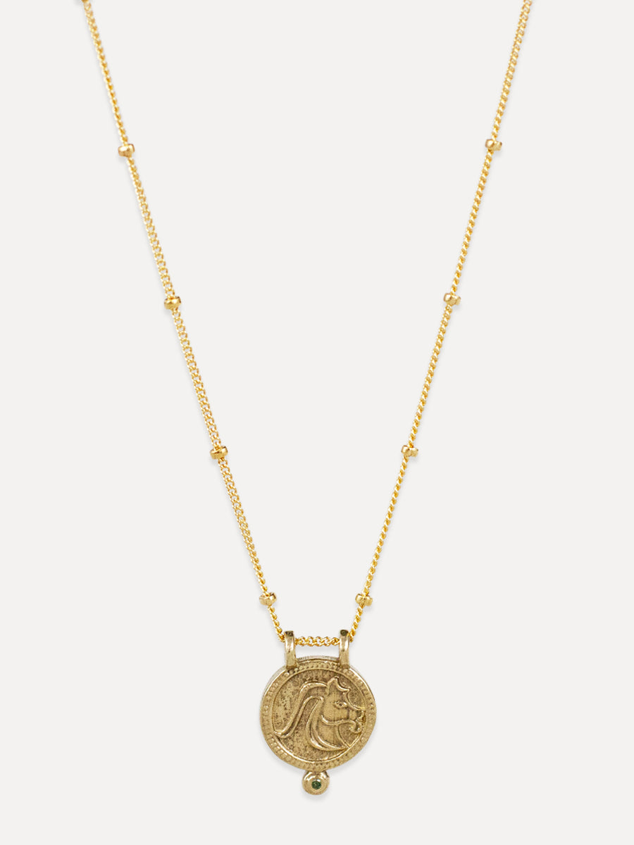 Zodiac Necklace - capricorn