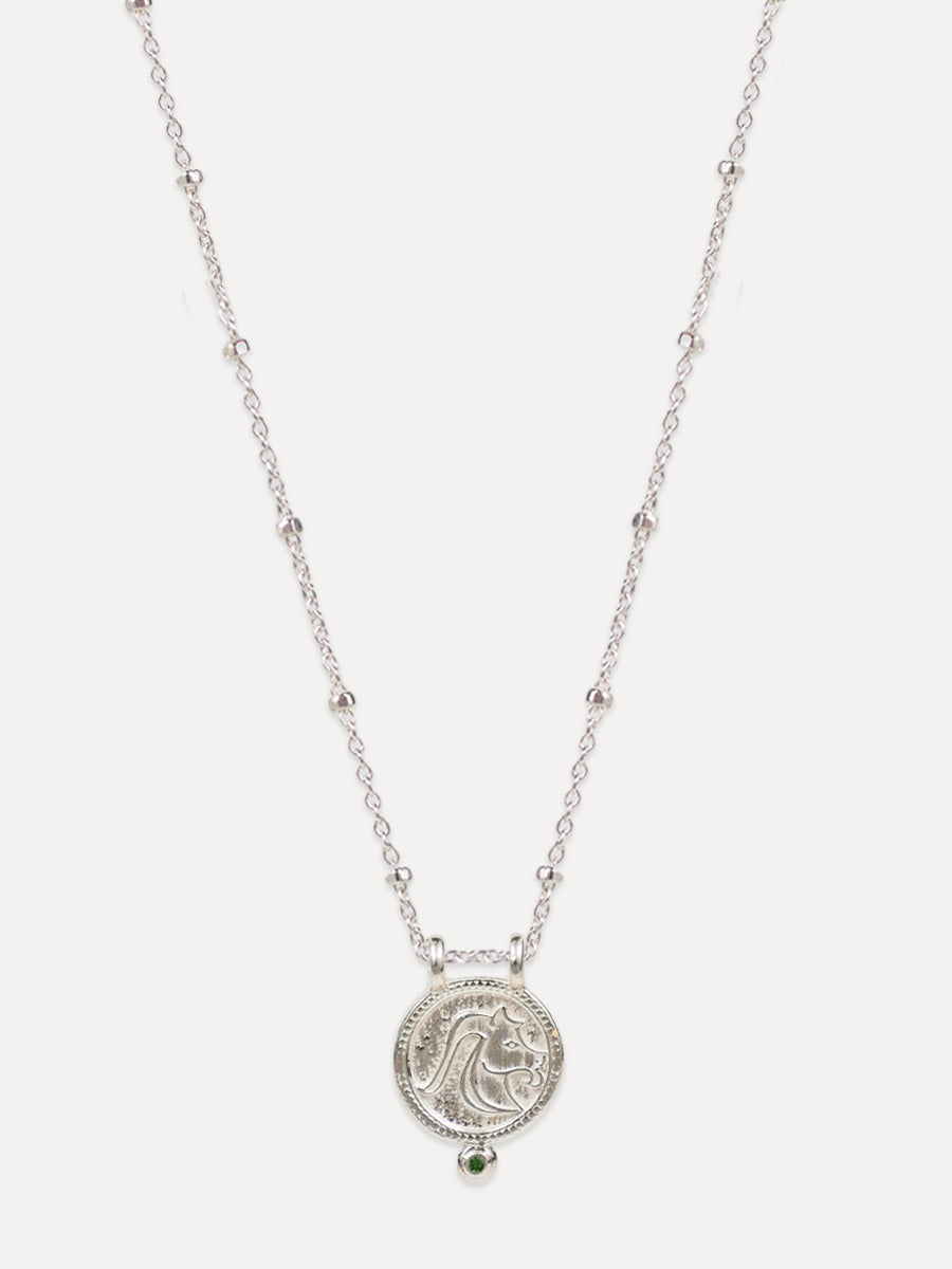Zodiac Necklace - capricorn