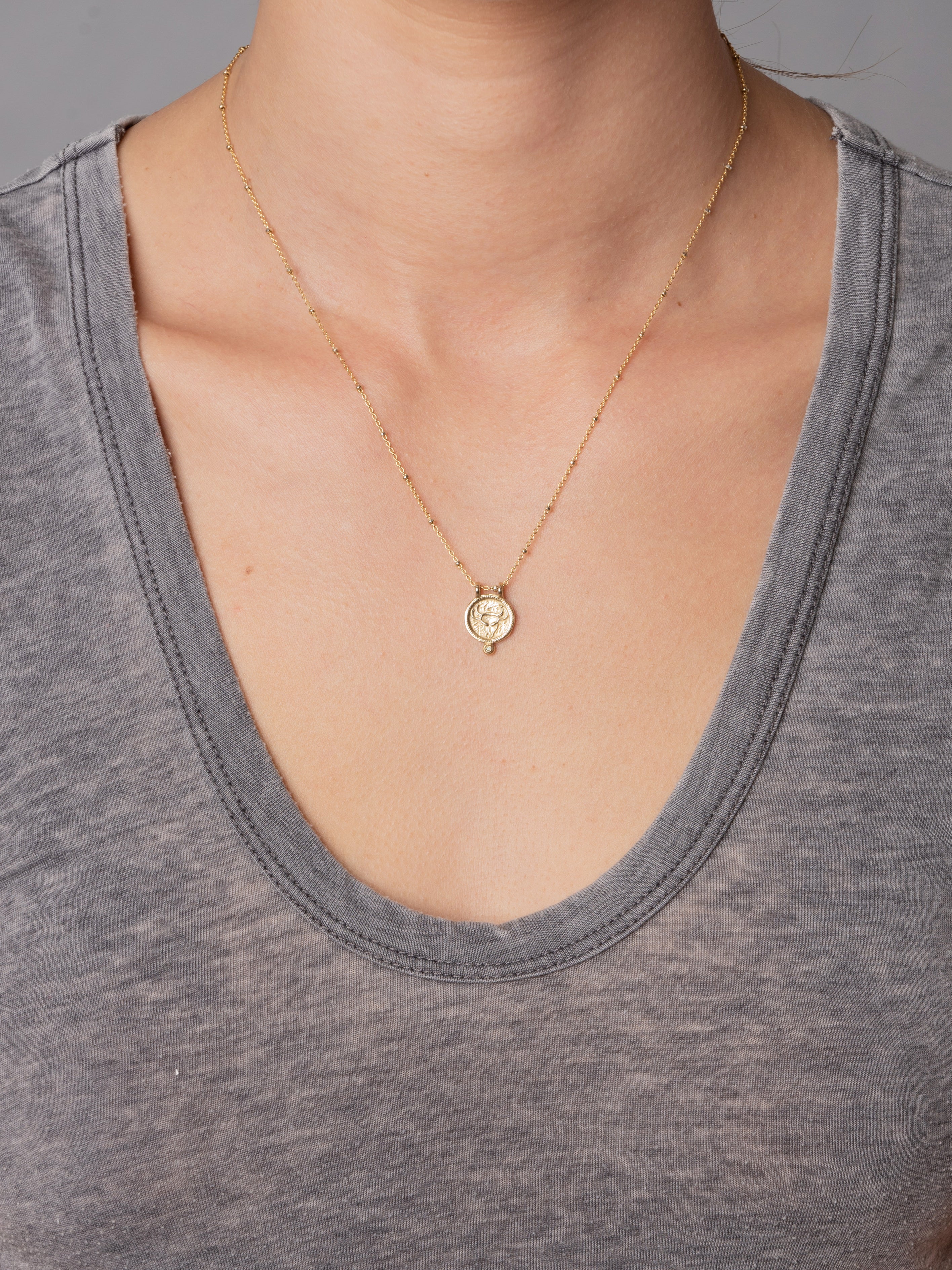 Zodiac Necklace - taurus